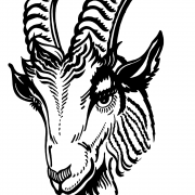 logo-vvdesteinderbok